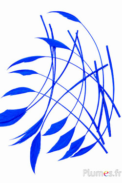 Oca freccia - 10-15 cm - blu 